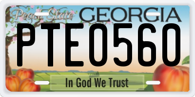 GA license plate PTE0560