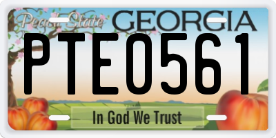 GA license plate PTE0561