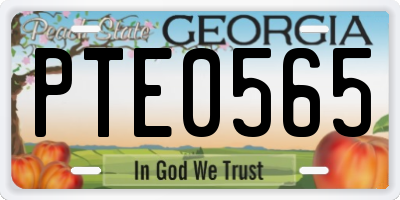 GA license plate PTE0565