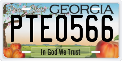 GA license plate PTE0566