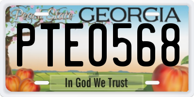 GA license plate PTE0568