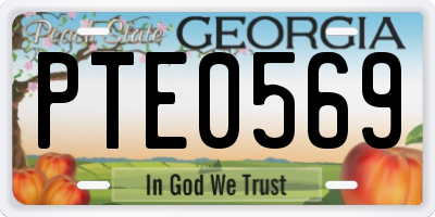 GA license plate PTE0569