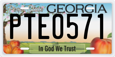 GA license plate PTE0571