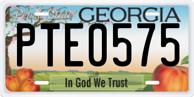GA license plate PTE0575