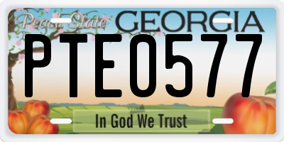 GA license plate PTE0577