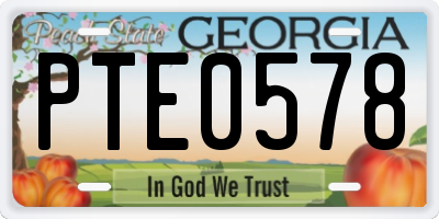 GA license plate PTE0578