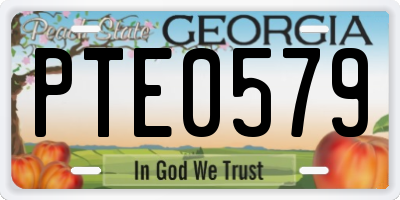 GA license plate PTE0579