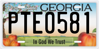 GA license plate PTE0581