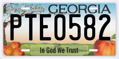 GA license plate PTE0582
