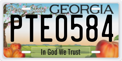 GA license plate PTE0584