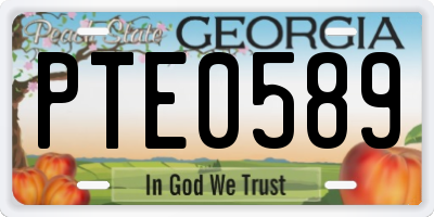 GA license plate PTE0589