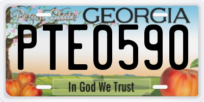 GA license plate PTE0590