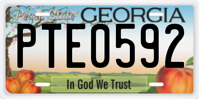 GA license plate PTE0592