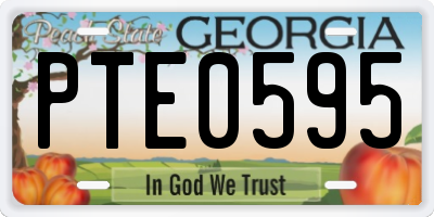GA license plate PTE0595