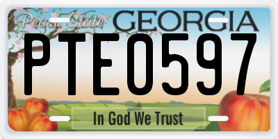 GA license plate PTE0597