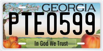 GA license plate PTE0599
