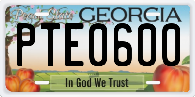 GA license plate PTE0600