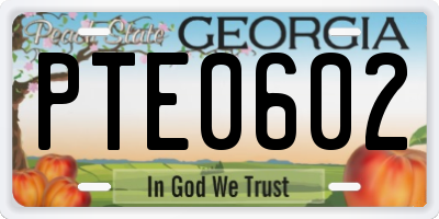 GA license plate PTE0602