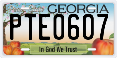 GA license plate PTE0607