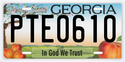 GA license plate PTE0610