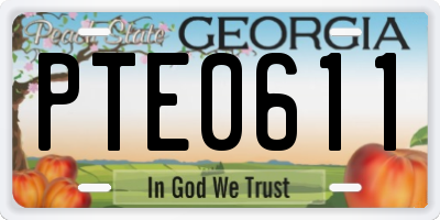 GA license plate PTE0611