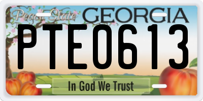 GA license plate PTE0613