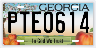 GA license plate PTE0614