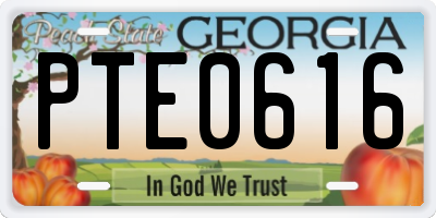 GA license plate PTE0616