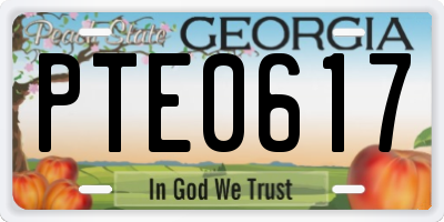 GA license plate PTE0617