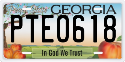 GA license plate PTE0618