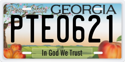 GA license plate PTE0621