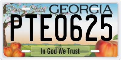 GA license plate PTE0625