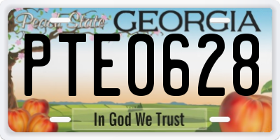 GA license plate PTE0628
