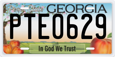 GA license plate PTE0629
