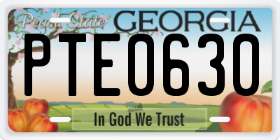 GA license plate PTE0630