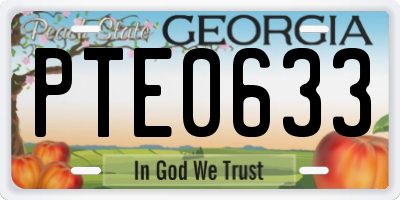 GA license plate PTE0633