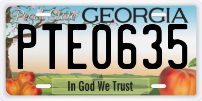 GA license plate PTE0635