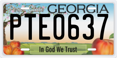GA license plate PTE0637