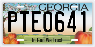 GA license plate PTE0641