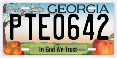 GA license plate PTE0642