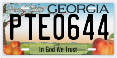 GA license plate PTE0644