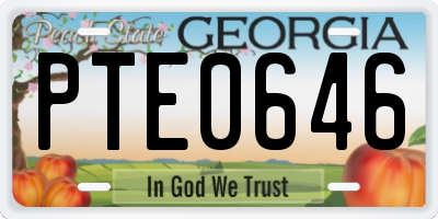 GA license plate PTE0646