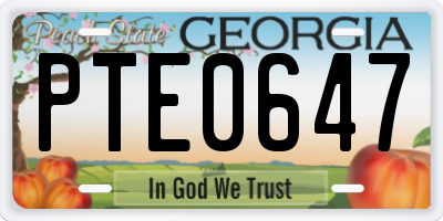 GA license plate PTE0647