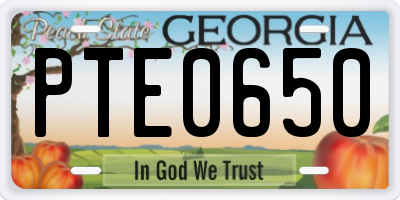 GA license plate PTE0650