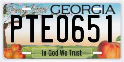 GA license plate PTE0651