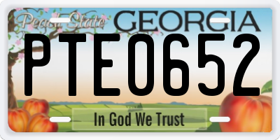 GA license plate PTE0652