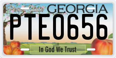GA license plate PTE0656