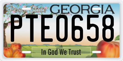 GA license plate PTE0658
