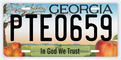 GA license plate PTE0659