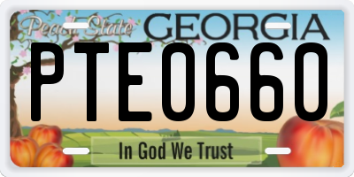 GA license plate PTE0660